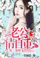 第一宠婚老公大人请自重免费阅读