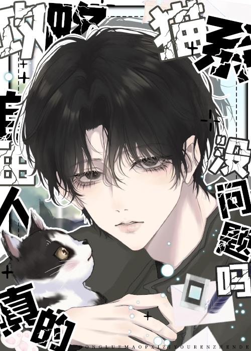攻略猫系二传真的没问题吗未删减