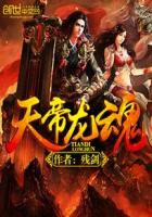 女主叫萧月照