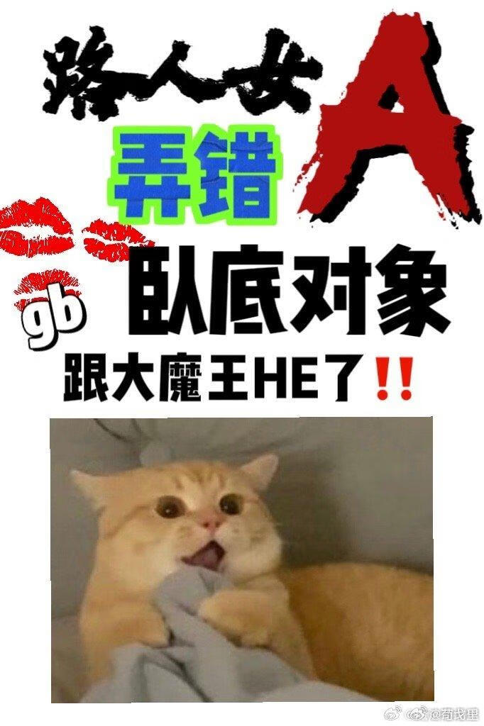 路人女A弄错卧底对象了番外
