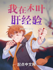 我在木叶肝经验txt