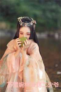 苏清婉林冷殇二少爷免费阅读全文苏清苏慕天