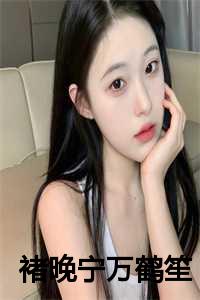 褚晚宁万鹤笙