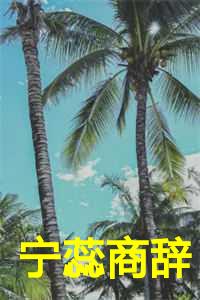 商辞宁蕊回国酒吧后续