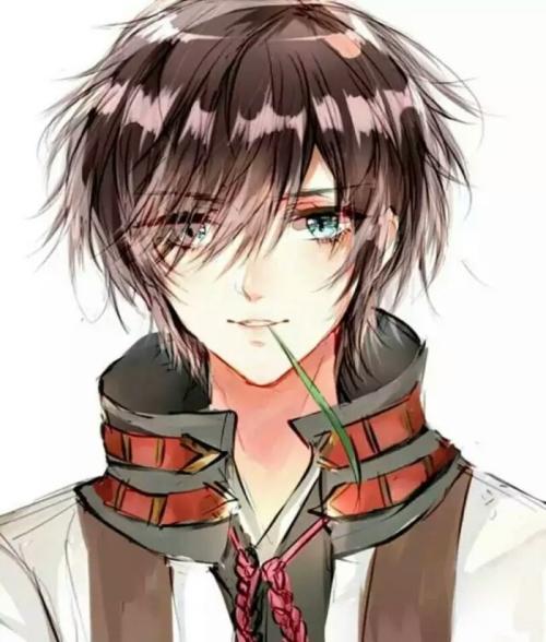 海彤战胤正版书籍