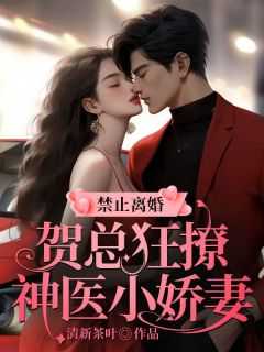 女主角贺梓凝的