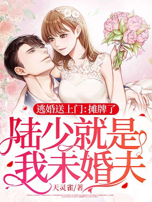 闪婚蜜爱陆少夫人好意外