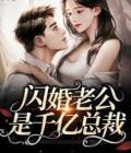 宠妻入骨我闪婚了个财阀大佬解说