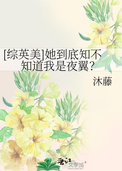 综英美她到底知不知道我是夜翼