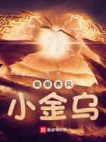 偷偷养只小金乌有几个