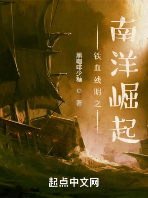 铁血残明之南洋崛起豆瓣书评