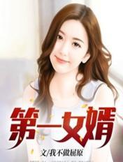 第一女婿梁军