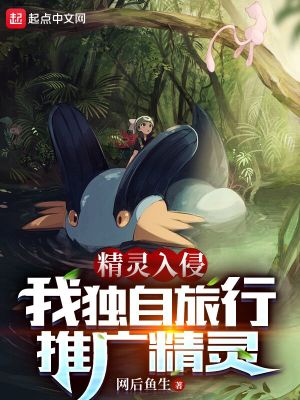 精灵入世