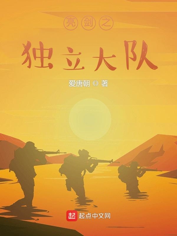 亮剑之独立大队百度百科