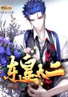 东皇太二写的