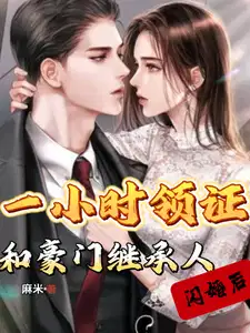 闪婚千亿豪门继承人 翻译