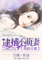 入骨宠婚叶澜成安之素结局