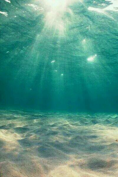白济娜