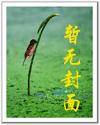 桂林的水是江还是湖