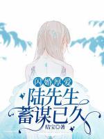 沈乔陆泽安叫什么名字啊