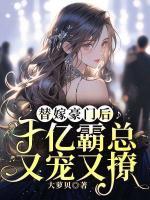 江晚顾墨寒名