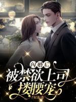 苏晓曼季圣司大结局