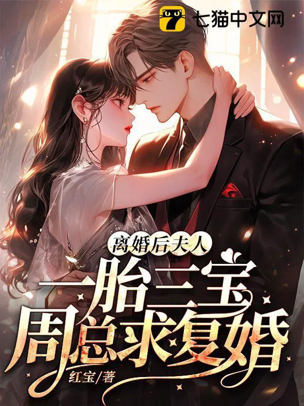 夫人一胎三宝周总求复婚 中女主在哪一章怀孕
