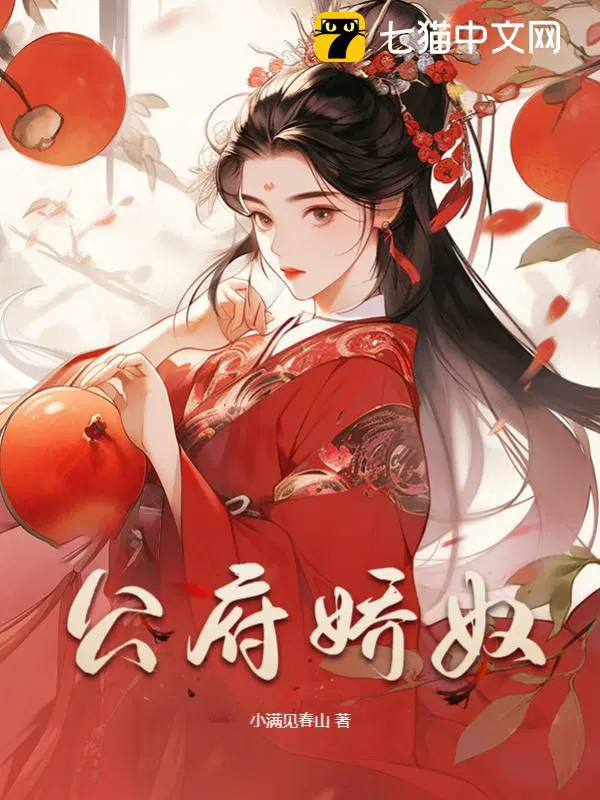 公府娇奴讲什么