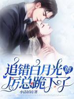 厉时琛与苏媛全文免费阅读