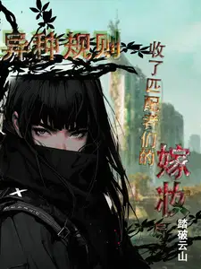 异种规则收了匹配者们的嫁妆后无删减