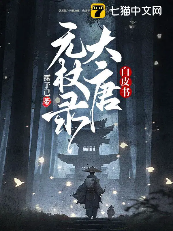 白皮书大唐无杖录是哪里写的