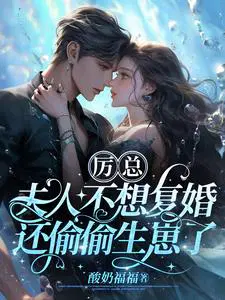 夫人不想复婚还偷偷生崽了作者酸