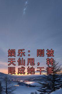 军靓岛电影