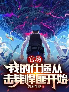 官场我的仕途从击毙悍匪开始 吉木生花