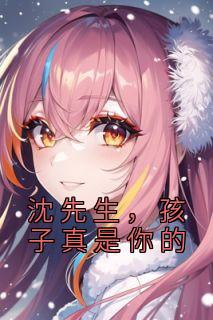沈先生孩子真是你的全文免费阅读全文
