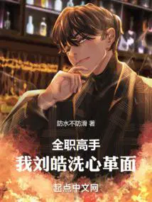 全职高手刘皓x叶修
