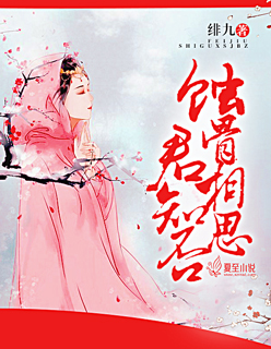 战龙归来免费