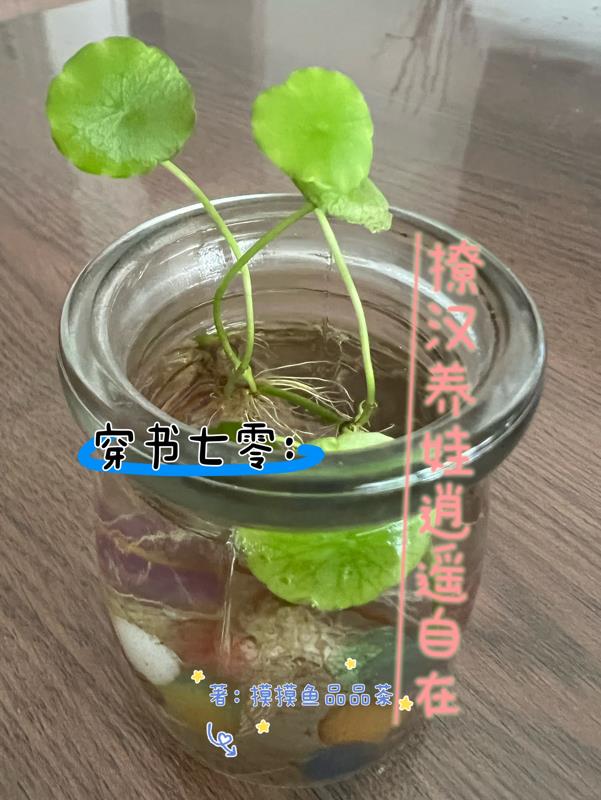 穿书七零年代养崽崽