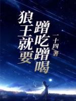 主播 老八