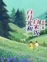 白月光白米饭什么意思