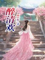 醉清欢茶叶价格表