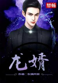 龙婿陆凡龙婿