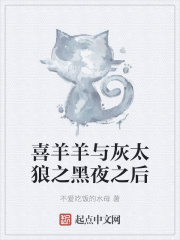 喜羊羊与灰太狼之黑夜之后三创