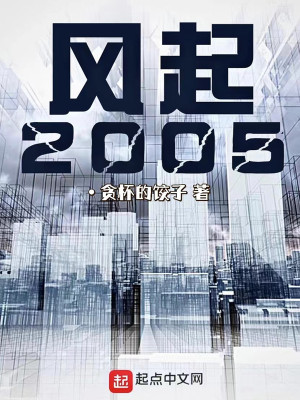 风起2005在线收听