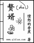 赘婿电视剧全集免费播放