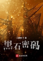 黑石密码国家原型