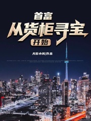 首富从货柜寻宝开始全文