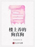 楼上养狗怎么处理