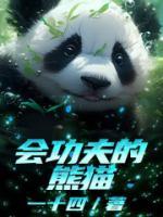 会功夫的熊猫是什么电影