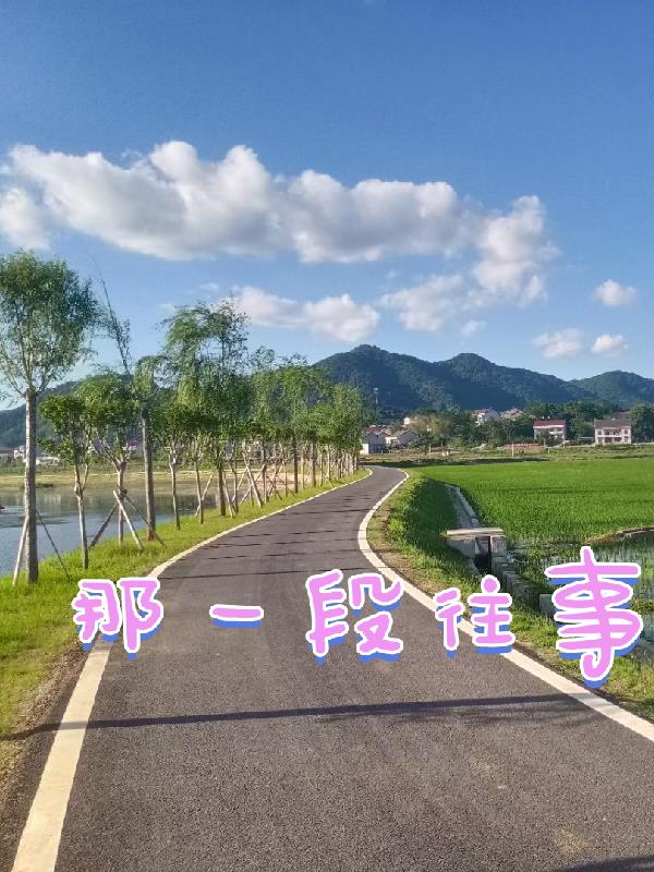 那一段往事的追忆14笔趣阁